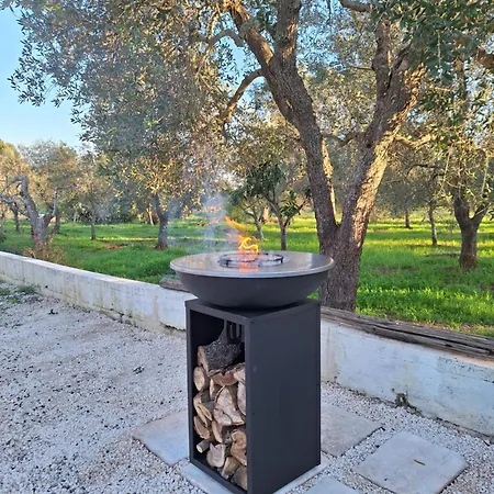 公寓式酒店 Casa Trullo Bianco-casa Olive 切列梅萨皮卡