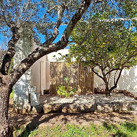 公寓式酒店 Casa Trullo Bianco-casa Olive
